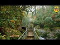 Walking the Autumn Forest Trails of West China - 4K Virtual Hike with Relaxing Forest in Rain Sounds