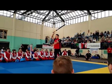 Chanbara - Championnats Europe 2016 - Démonstration Kihon Dosa - Nito Angle 1