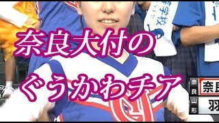 奈良大付チアガールの女の子がぐうかわ！甲子園2018夏