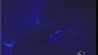 Múm ♥♦♣♠ Green Grass Of Tunnel (Shinjuku Liquid Room)