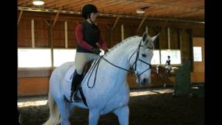 How to prepare for a clinic by Anne Kursinski