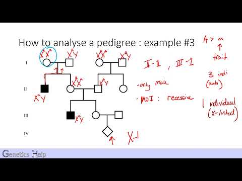Pedigree Analysis 101 (with practice problems)