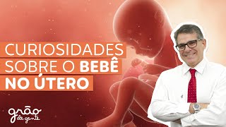 COMO É A VIDA INTRAUTERINA? | DR. GILBERTO RESPONDE