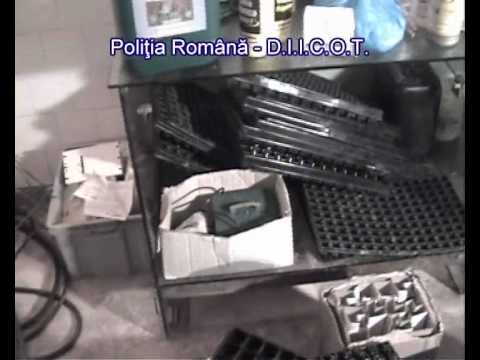 Fabrcă de cannabis la Batăr