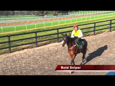 Emirates Stakes Day Preview