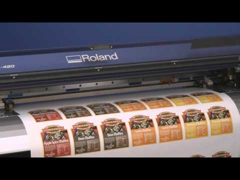 Roland Clear Digital Print Permanent Adhesive Vinyl 20 x 50ft