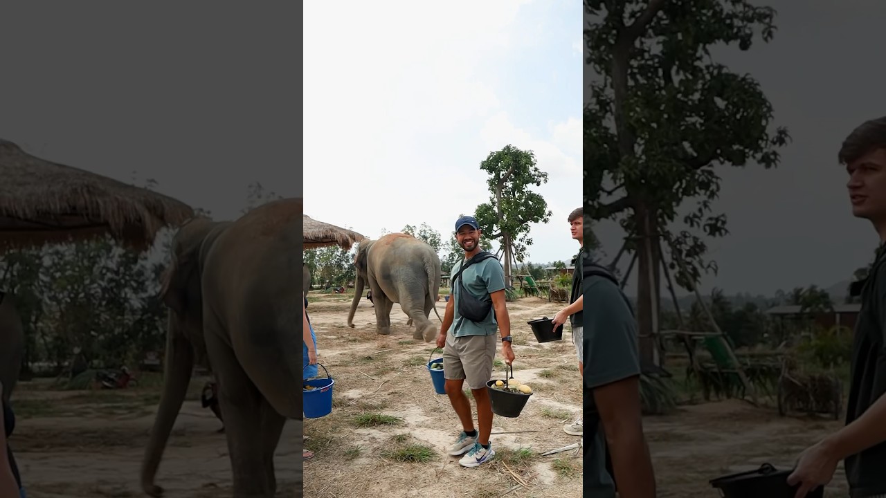 YouTube Short thumbnail