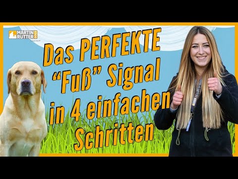 Hundetraining | Leinenführigkeit - Das Fuß Signal Aufbauen in 4 Schritten vom Hundeprofi erklärt
