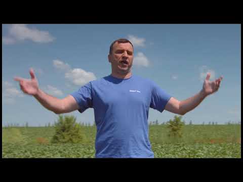 BASF zaštita šećerne repe od cerkospore - Duett® Ultra i Opus® Team