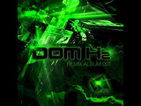 Reflekt ft Delline Bass - Need to Feel Loved (Dom Hz remix)