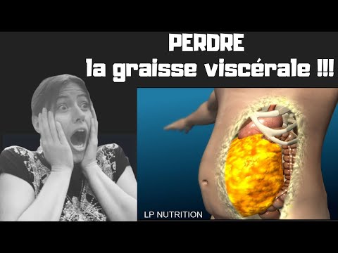 Graisse viscérale