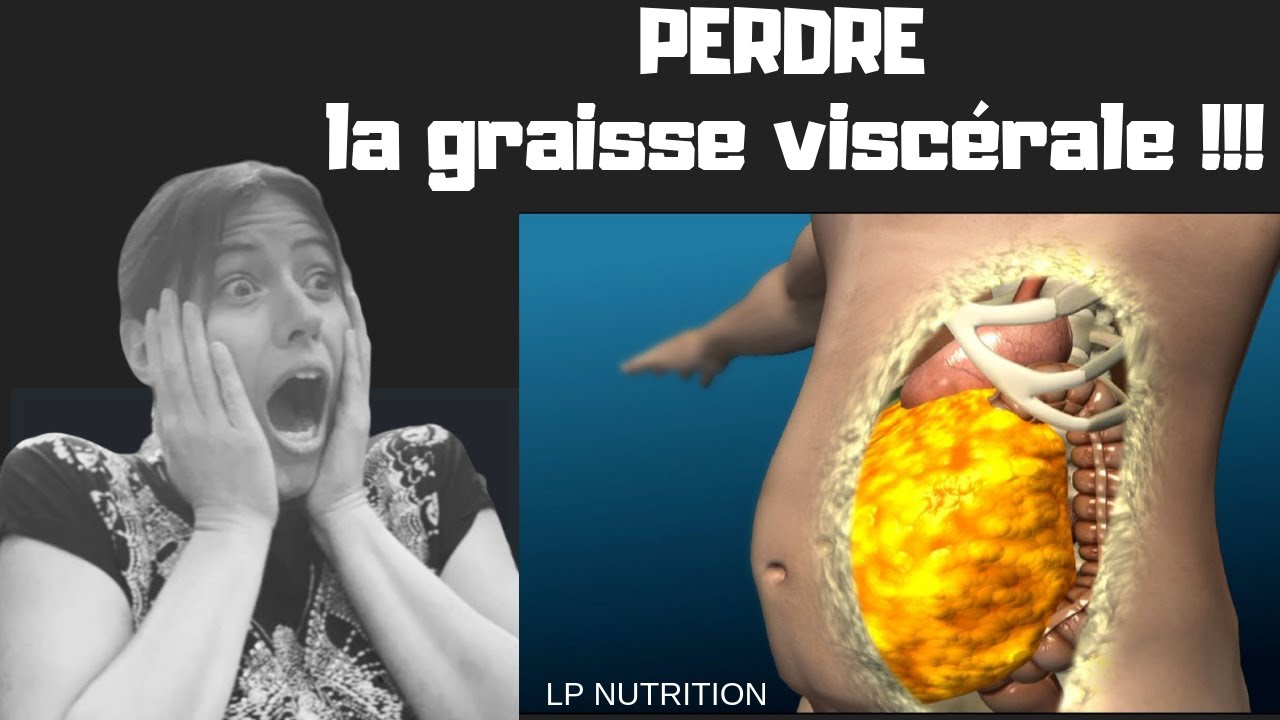 Graisse viscérale