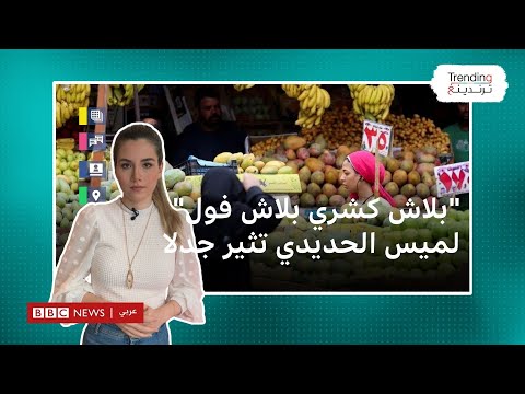 "بلاش كشري بلاش فول" تهكم لميس الحديدي يثير جدلا في مصر.