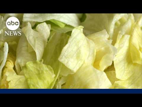 Iceberg lettuce sample from Taylor Farms tests positive for cyclosporiasis parasite