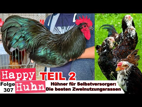 , title : 'Teil 2: Hühner für Selbstversorger: Gute Zweinutzungsrassen für Eier + Fleisch HAPPY HUHN E306'