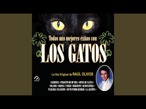 La Pelotica de Ping Pong