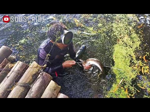 EP188 "PANG HANDA" PAMAMANA NG DALAG AT  HITO SA MAKAPAL NA LUMOT