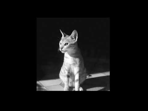  I Just Wanna Be Loved - Nightcore