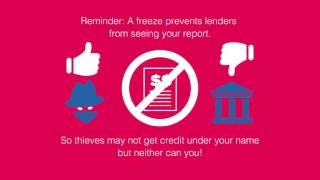 How Do I Place a Security Freeze? | Experian Credit 101 Express