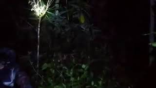 Download lagu PENAMPAKAN GRANDONG ASLI YANG DI UNDANG OLEH KI SURYO mp3