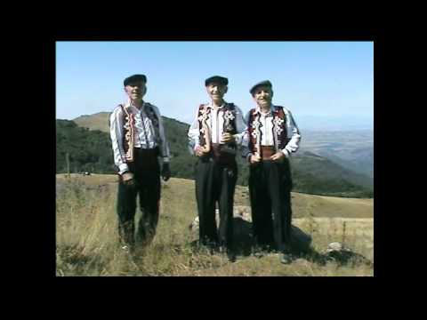 Trio Veselinovi - Gino, Gino