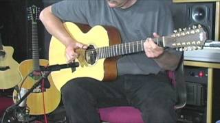 The White Ape - Leo Kottke (cover version)