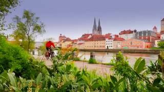 Technische Assistenten/Assistentinnen bei Thermo Fisher Scientific