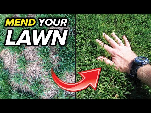 The Absolute Easiest Way To Fix Bare Spots In Your Lawn