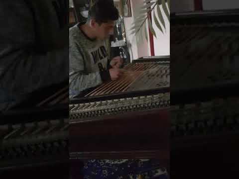 Tomáš Pecha markušovce