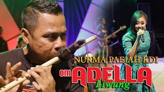 Download lagu NURMA PAEJAH KDI - LIWUNG,ADELLA - LIVE DIANA RIA TEMANGGUNG mp3 Download lagu NURMA PAEJAH KDI - LIWUNG,ADELLA - LIVE DIANA RIA TEMANGGUNG mp3