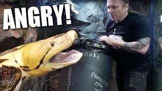 WHY IS MY 20 FOOT SNAKE SO UPSET?? CLOSE CALLS AT THE REPTILE ZOO!! | BRIAN BARCZYK