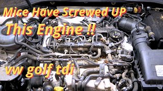 Volkswagen Golf TDI Goes in Limp Mode, Engine Loses Power, Code P2563 & P00AF - Diagnosis & Repair
