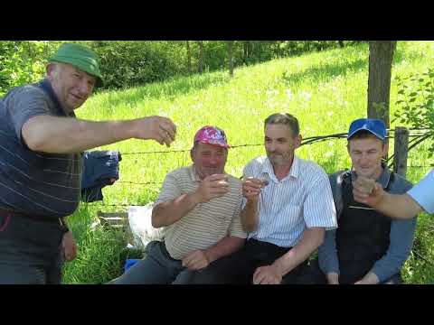 Agro karavan ep.235 - Specijal - 10.07.2022.