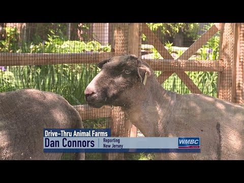 NJ Sussex County Skylands Animal Farm Drive–Thru