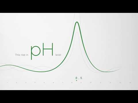 SmileNV - What is CP+?