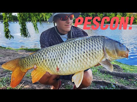 ¿SALE LA BESTIA? Pesca de Carpas en 9 de Julio - Lago General San Martín - Carpfishing Argentino