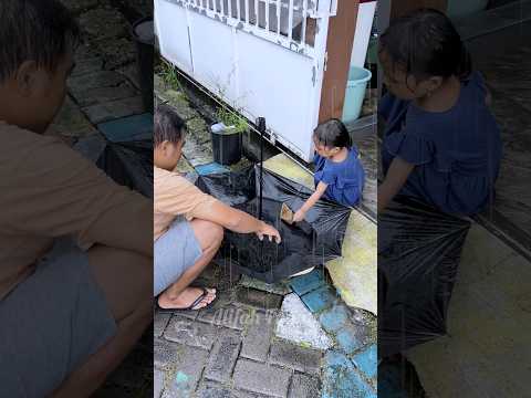 Main Kapal Kapalan Di Atas Payung ⁉️