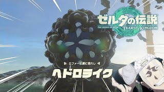 きっしょ．．．なんで足付いてんだよ．．．【ゼルダの伝説ティアーズオブキングダム】#22