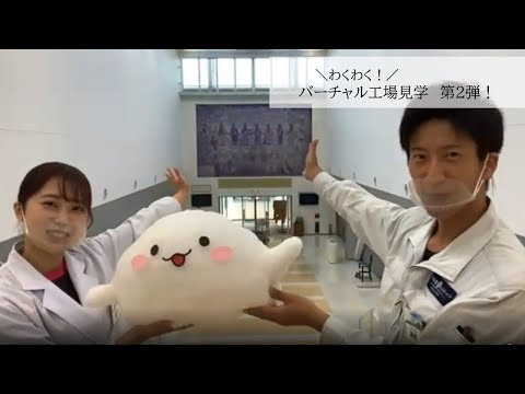 ヴィルモリン (会社) - 定義