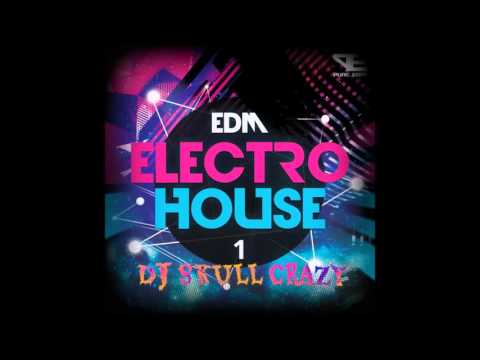ELECTRO HOUSE VOL - 1 (DJ SKULL CRAZY)