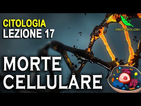 CELLULAR AGEING and death - Cytology Lesson 17