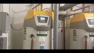 CALENTADOR DE AGUA A GAS AOSMITH DIAGNOSTICO Y REPARACIÓN