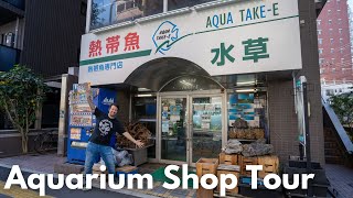 Aquarium Shop Tour in Japan! AQUA TAKE-E