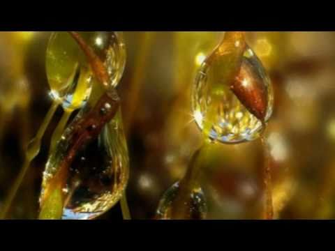 ΟΛΑ ΕΝΑ ΨΕΜΑ-ΒΑΣΙΛΗΣ ΚΑΡΡΑΣ-VASILIS KARRAS-ΟLA ENA PSEMA