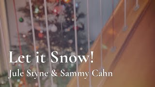 Let it Snow! Let it Snow! Let it Snow!  //  Amy Turk, Harps