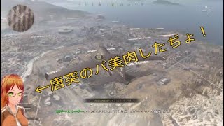 カスタムキャストで『Call of Duty WARZONE』をやってみた！