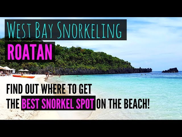 West Bay Beach and Snorkeling in Roatan Honduras - Travel Roatan