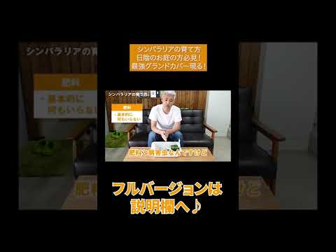 北向きの庭に適した植物は何ですか?緑の楽園をつくる日陰と湿気を好む10種  庭園