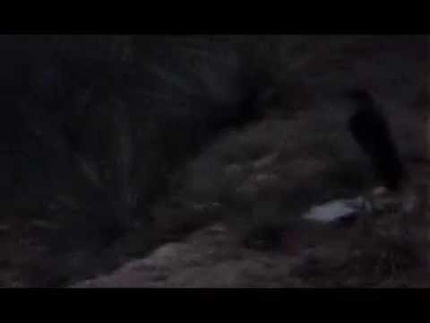 Bones - Okay,ButThisIsTheLastTime