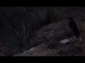 Bones - Okay,ButThisIsTheLastTime 